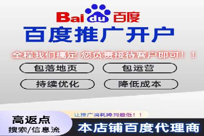 百度推广实战：成功企业的营销策略